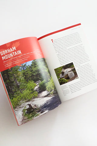 New England’s Roadside Ecology