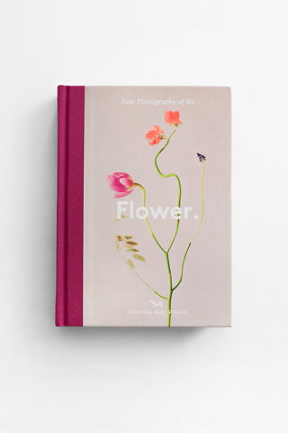 New Photography of the Flower
