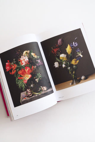 New Photography of the Flower