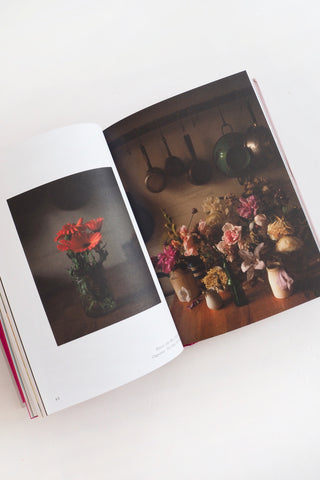 New Photography of the Flower