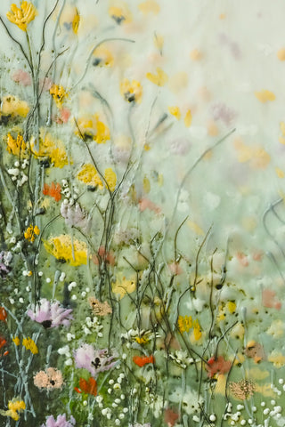 Painted Meadow