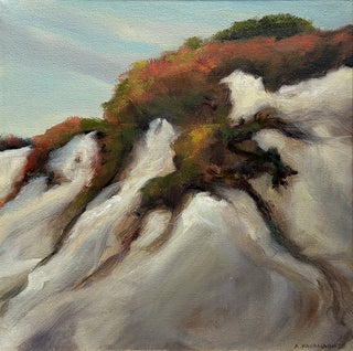 Dune Path 3