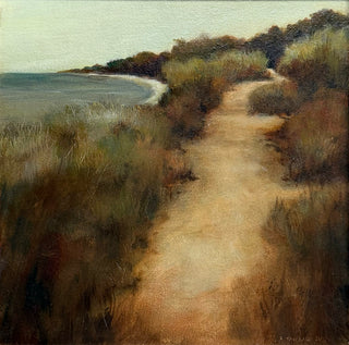 Dune Path 4