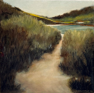 Dune Path 6