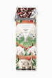 Peppermint Bark