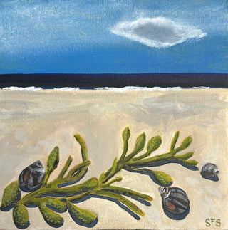 Periwinkle and Rockweed