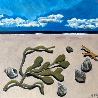 Periwinkle and Spiral wrack