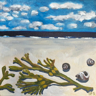 Periwinkle and bladderwrack
