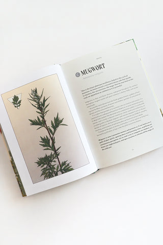 Plant Magic