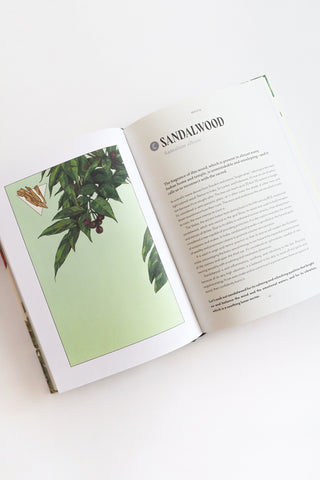 Plant Magic