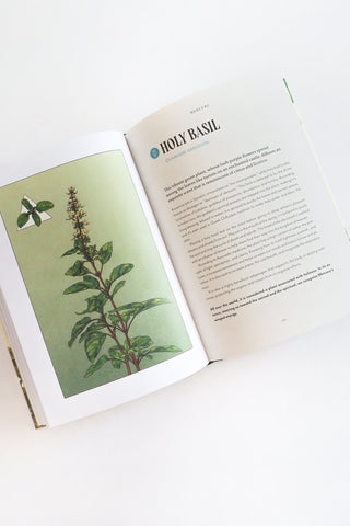 Plant Magic