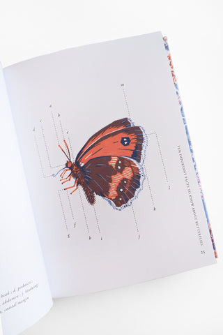 Planting for Butterflies