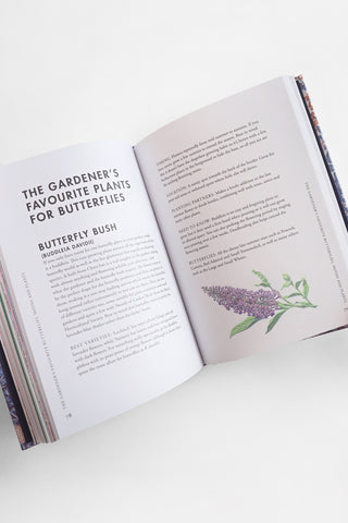 Planting for Butterflies