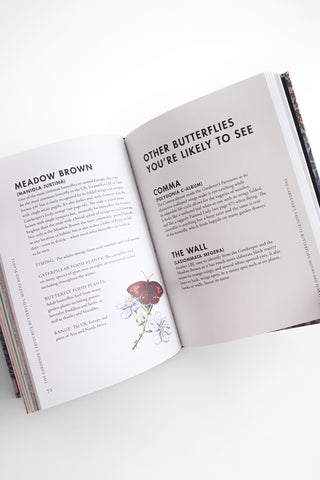 Planting for Butterflies