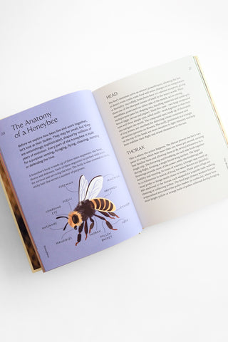 Planting for Honeybees