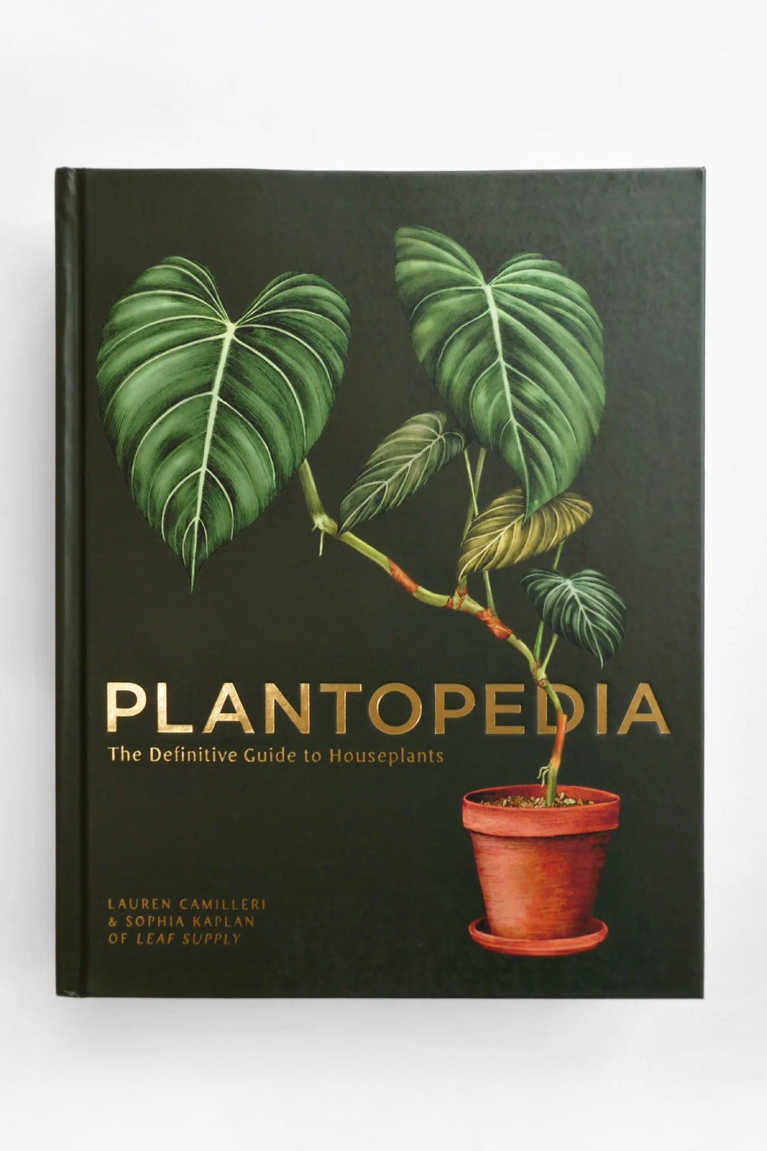 house plants for all book Plantopedia – Nahcotta