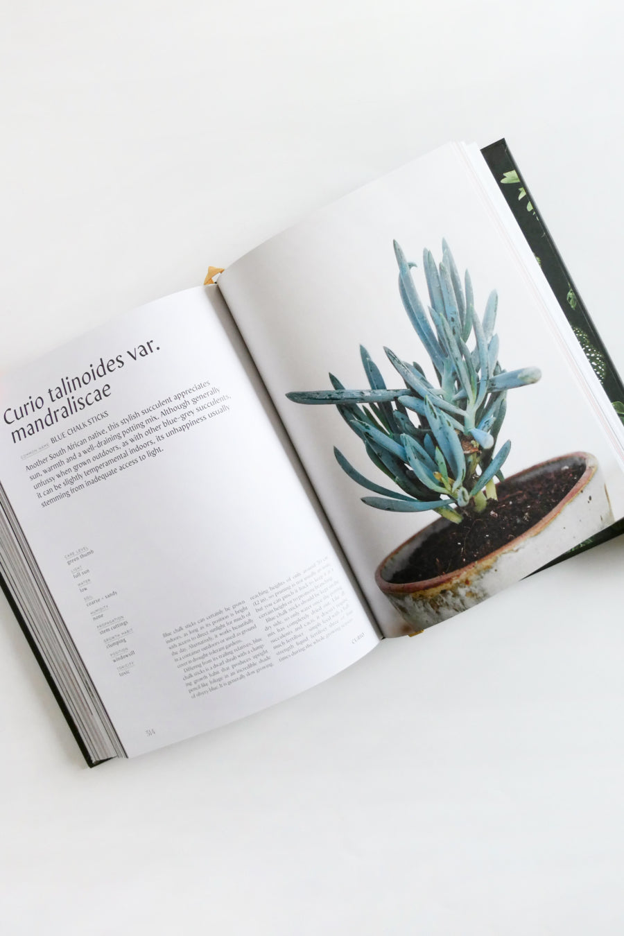 house plant book Plantopedia – Nahcotta