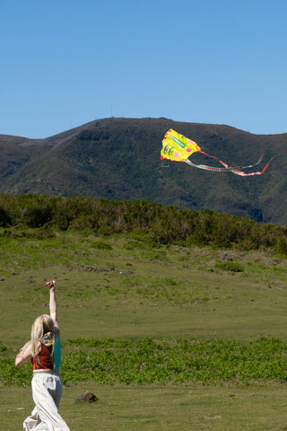 Sky Seer Pocket Kite
