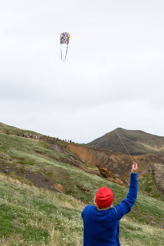 Speedy Pocket Kite