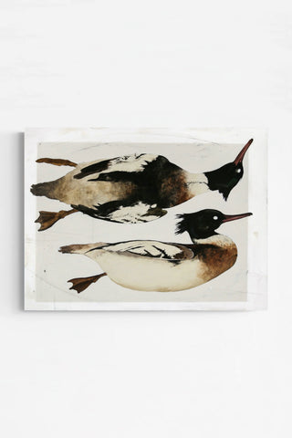 Red-breasted Mergansers