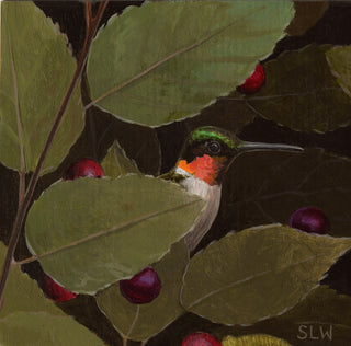 Ruby-throated Hummingbird Hedge