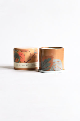 Santal Birch Demi Vanity Tin