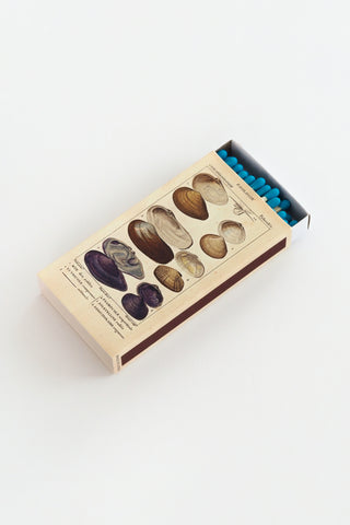 Seashell Specimens Matches