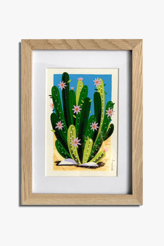 Senita Cactus