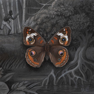 Butterfly with intricate patterns on a dark forest background