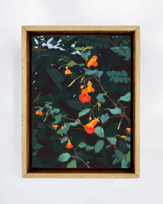 Spotted Jewelweed