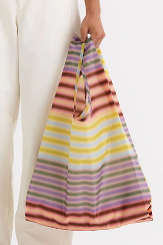 Standard Baggu - Gradient Stripe Multi