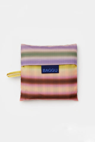 Standard Baggu - Gradient Stripe Multi