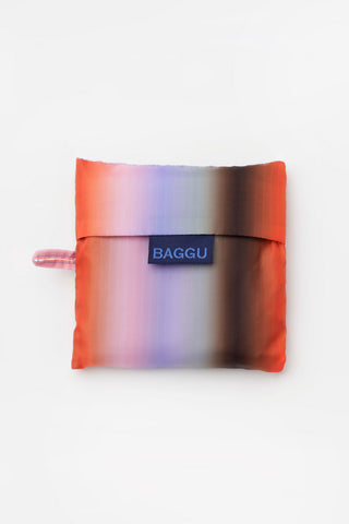 Standard Baggu - Gradient Stripe Poppy & Lilac