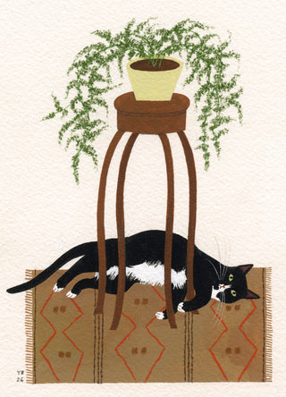 Still Life with Black and White Cat