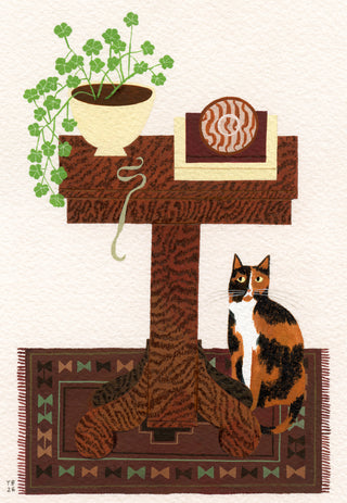 Still Life with Calico Cat