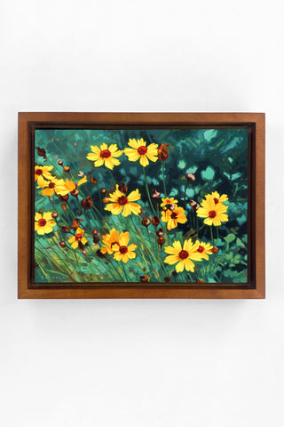 Sunny Coreopsis