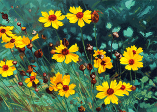 Sunny Coreopsis