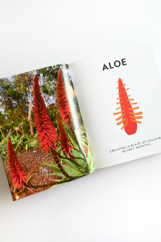 Super Bloom: A Field Guide to Flowers for Every Gardener