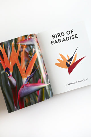 Super Bloom: A Field Guide to Flowers for Every Gardener