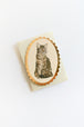 Tabby Cat