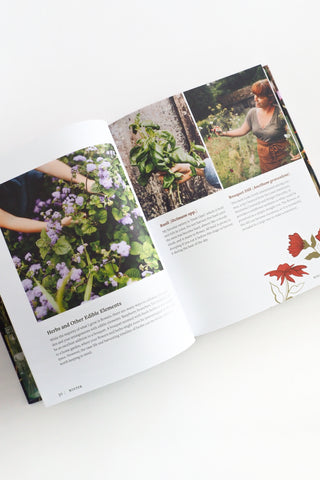 The Beginner’s Cut Flower Garden