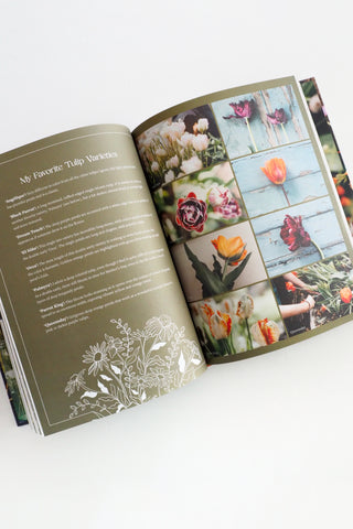 The Beginner’s Cut Flower Garden