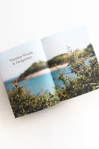 The Coastal Forager