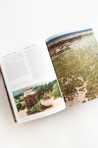 The Coastal Forager