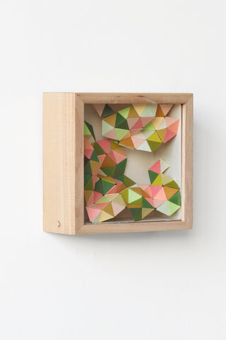 The Start of Spring Blooms