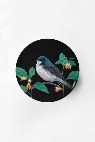 Tree Swallow & Jewelweed