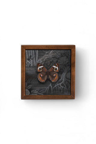 Framed artwork of a butterfly with a dark forest background
