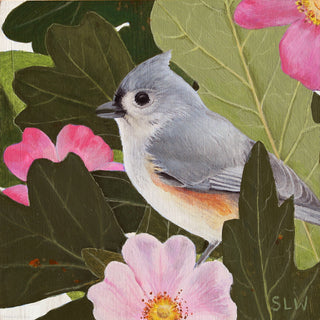 Tufted Titmouse Hedge