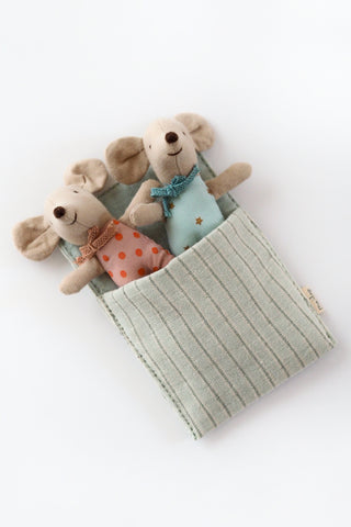 Twin Baby Mice in Matchbox