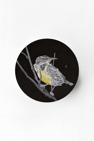 Western Meadowlark